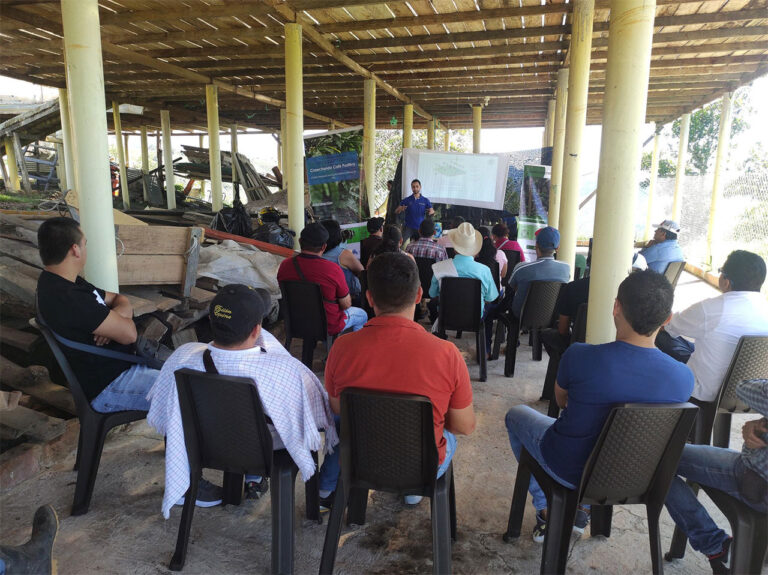 Socialización de la estrategia de agroforestería a caficultores